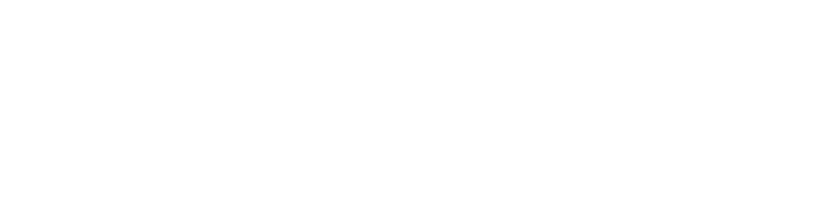 Source One Logo